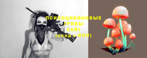 метамфетамин Богородицк